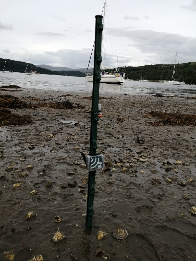 Hydrophone deployed at oyster release site